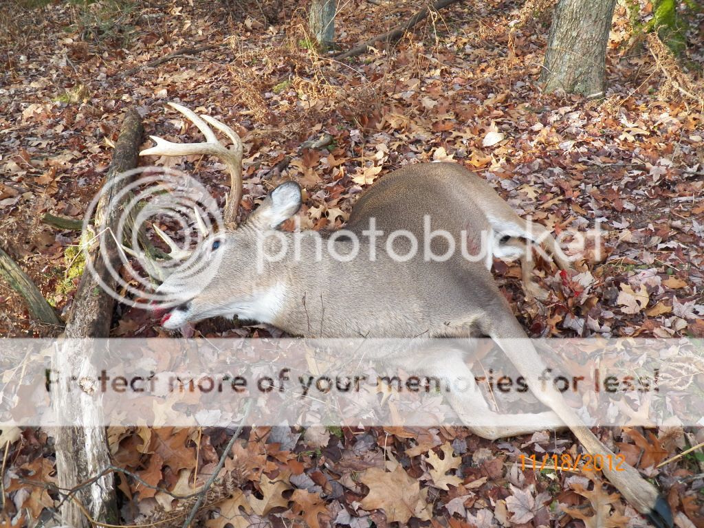 Mecosta County 9 point Michigan Sportsman Forum